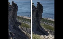 视频记录英国巨大悬崖突然崩塌瞬间