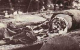 二战日军回忆吃死人尸肉情形:从臀部开始吃