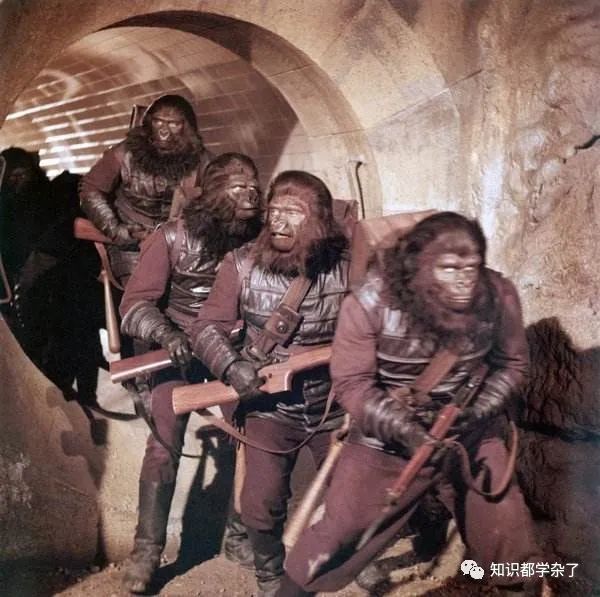 揭秘苏联“人猿战士”基地：打造半人半猿战士
