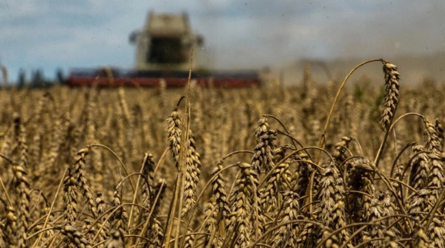 俄罗斯一举动 恐再次引爆粮食危机 小麦期货飙涨